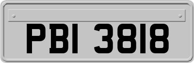 PBI3818