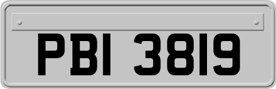 PBI3819