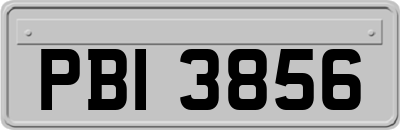 PBI3856