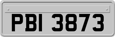 PBI3873