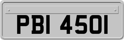 PBI4501