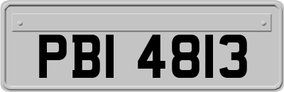 PBI4813