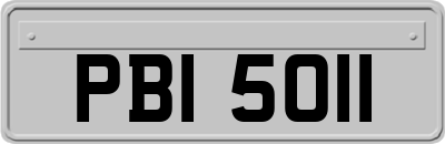 PBI5011