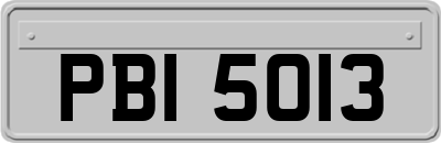 PBI5013