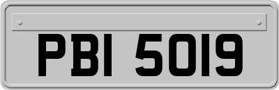 PBI5019