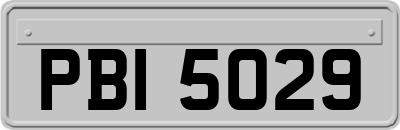 PBI5029