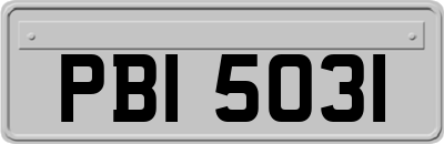 PBI5031