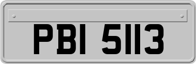 PBI5113