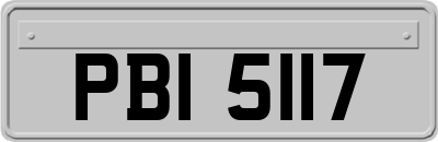 PBI5117