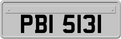 PBI5131