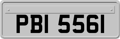 PBI5561