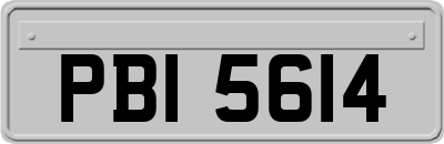 PBI5614