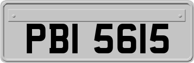 PBI5615