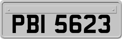 PBI5623