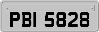 PBI5828