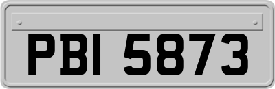 PBI5873