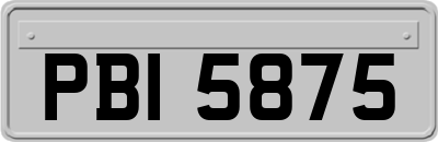 PBI5875