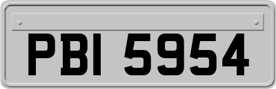 PBI5954