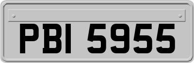 PBI5955