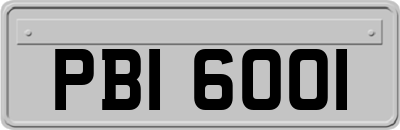 PBI6001