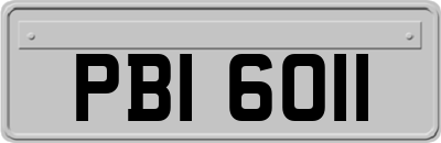 PBI6011