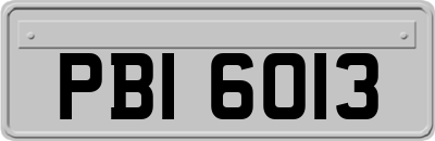 PBI6013