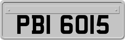 PBI6015