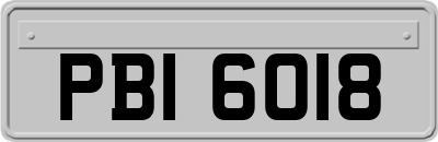 PBI6018