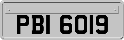 PBI6019