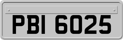 PBI6025