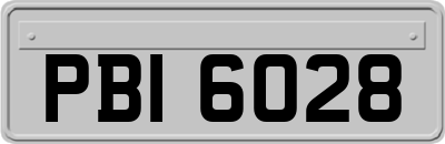 PBI6028