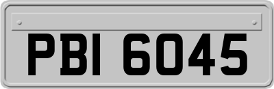 PBI6045