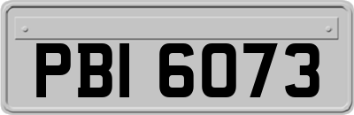 PBI6073