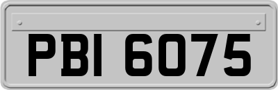 PBI6075