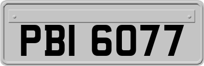 PBI6077