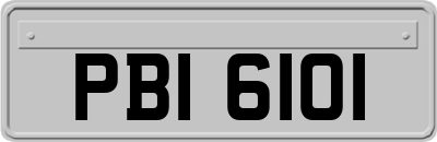 PBI6101