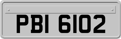 PBI6102