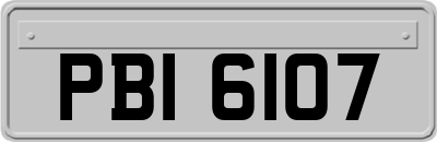 PBI6107