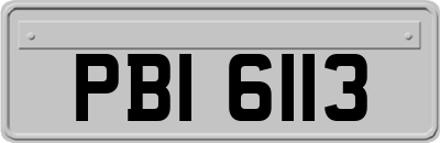 PBI6113