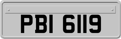 PBI6119