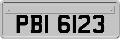 PBI6123