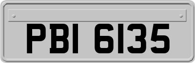 PBI6135