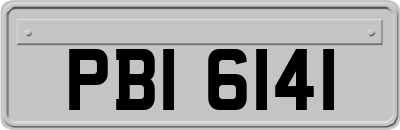 PBI6141