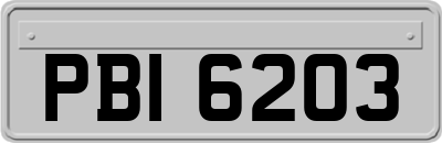 PBI6203