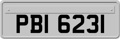 PBI6231