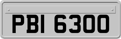 PBI6300