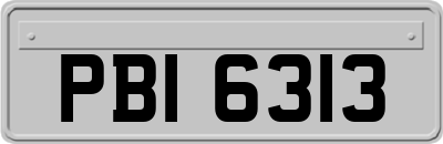 PBI6313