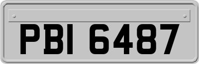 PBI6487