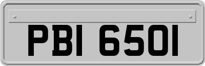 PBI6501