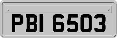 PBI6503